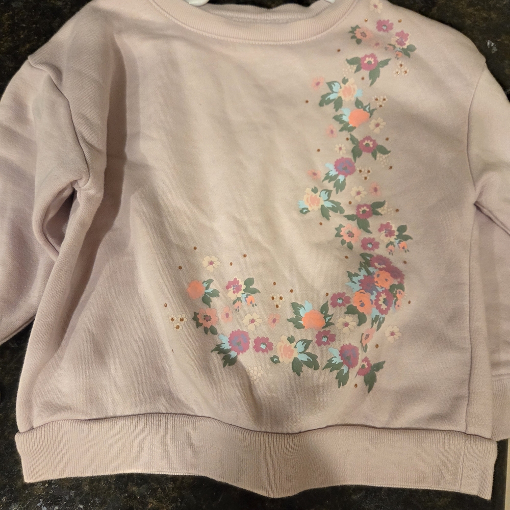 GAP Baby Light Pink Toddler Crewneck Sweatshirt
